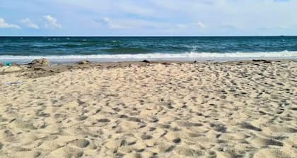 Apartment mit Terrasse auf Fehmarn