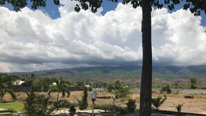 A landscaped outdoor area with a paved walkway, palm trees, and a view of distant hills under a partly cloudy sky. - Pohon Purba Resort & Restaurant (Labuhan Lombok)
