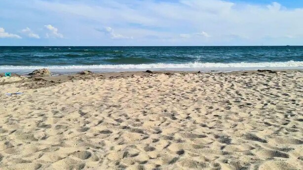 Una playa arenosa con huellas que conducen al agua, cielo despejado y mar en calma.