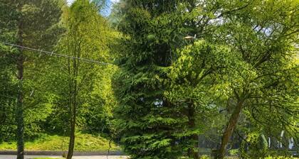 Bendorf Hotel by Belvilla Budget Double Room