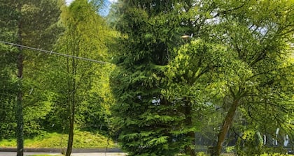 Bendorf Hotel by Belvilla Double Room with Balcony