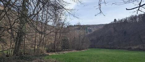 Un paisaje natural con un campo cubierto de hierba, árboles sin hojas y una colina boscosa al fondo.