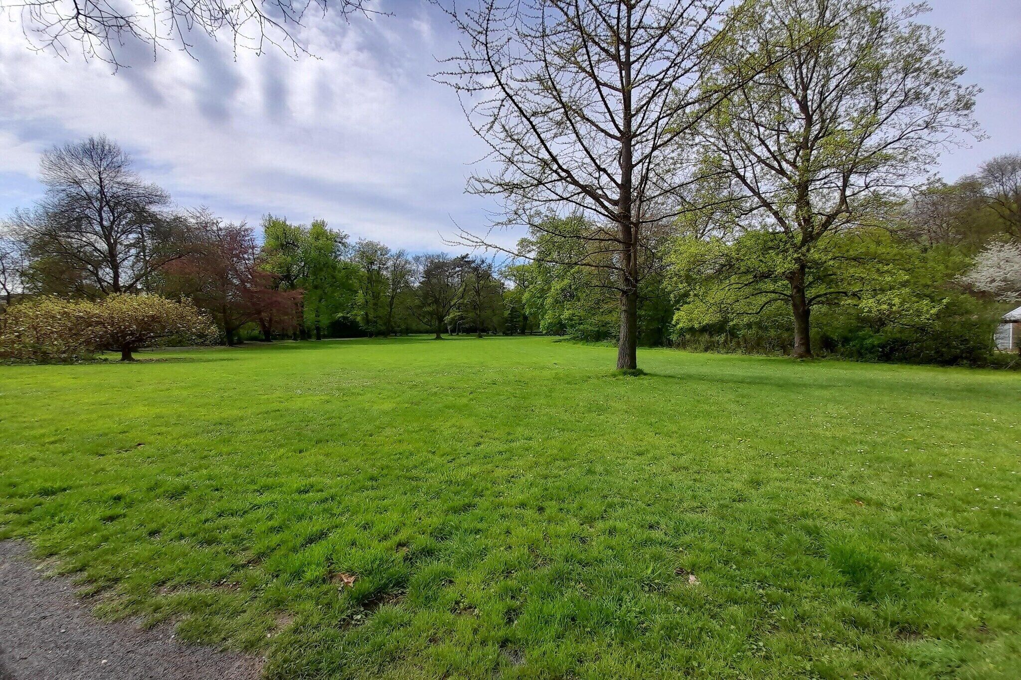 A grassy park area with trees and a clear sky.