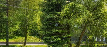 Escapade relaxante près de Coblence