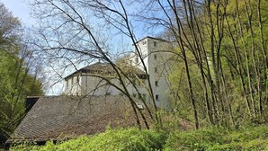 Un bâtiment doté d’un toit en pente, entouré d’une végétation luxuriante et d’arbres.