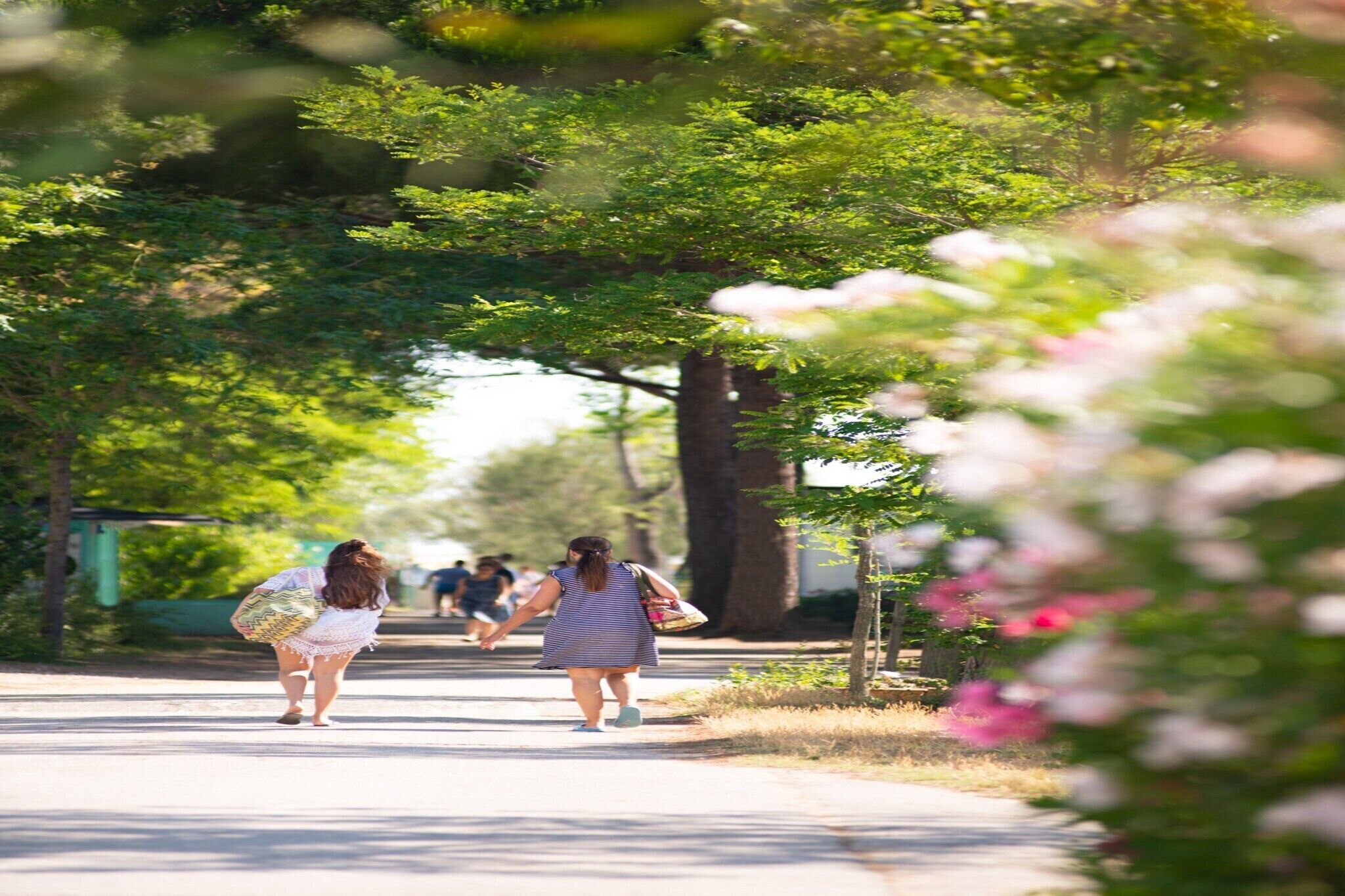 A pathway lined with trees and greenery, with people walking.