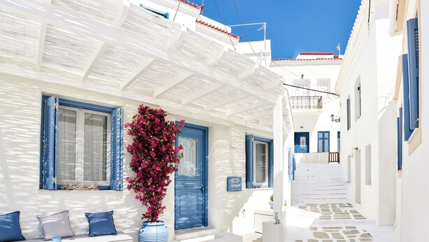 Una calle estrecha con edificios blancos, contraventanas azules y una planta grande en maceta.