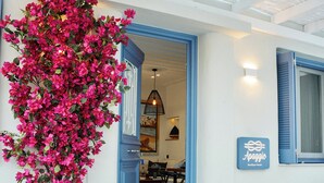 Entrada de hotel con una puerta azul, una planta grande en maceta y un cartel que dice Apaggio Boutique House.