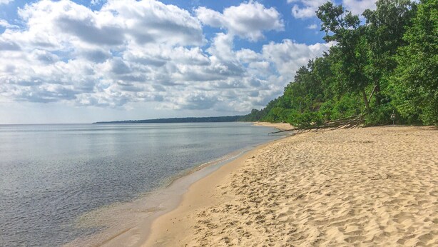 Uma praia arenosa com águas cristalinas, árvores e uma linha de costa distante.