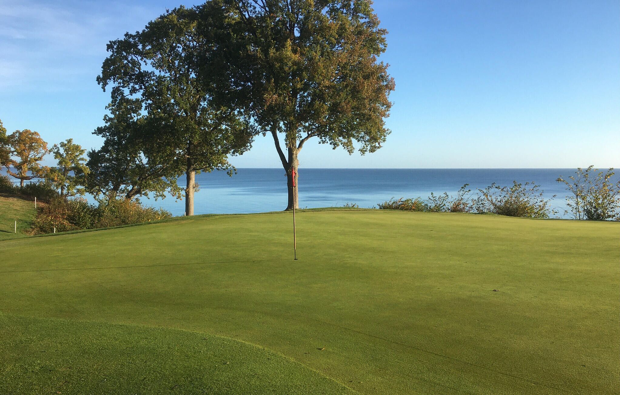 A golf course with a flagstick in the center, surrounded by trees and a view of the ocean.
