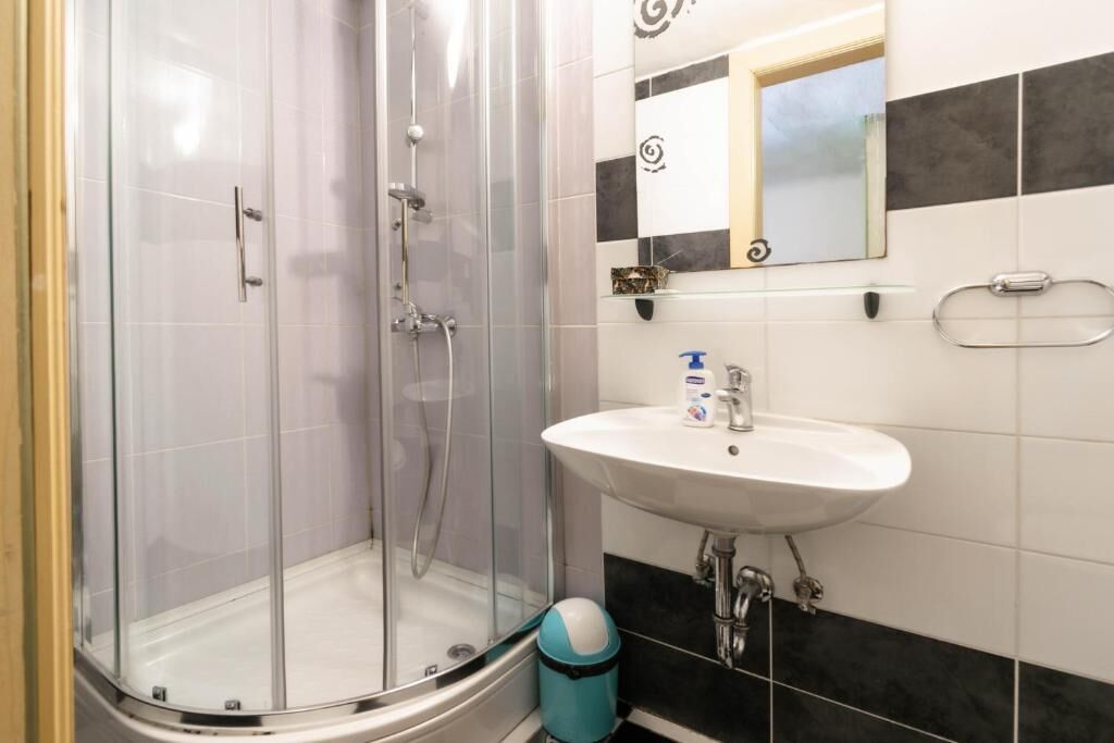 Shower, hair dryer, towels, toilet paper