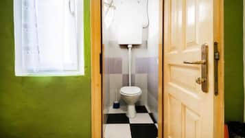 Baño pequeño con inodoro, ducha y ventana.
