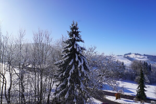 Niet-geclassificeerde afbeelding, 1 van 35, knop