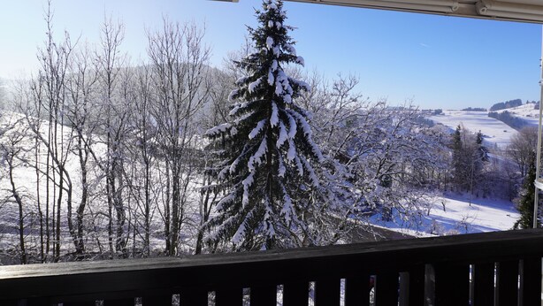 A view from a window overlooking a snow-covered landscape with trees and a clear sky. - AllgäuZeit apartment with indoor pool & sauna & free WLAN (Missen-Wilhams)