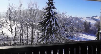 AllgÀuZeit apartment with indoor pool & sauna & free WLAN