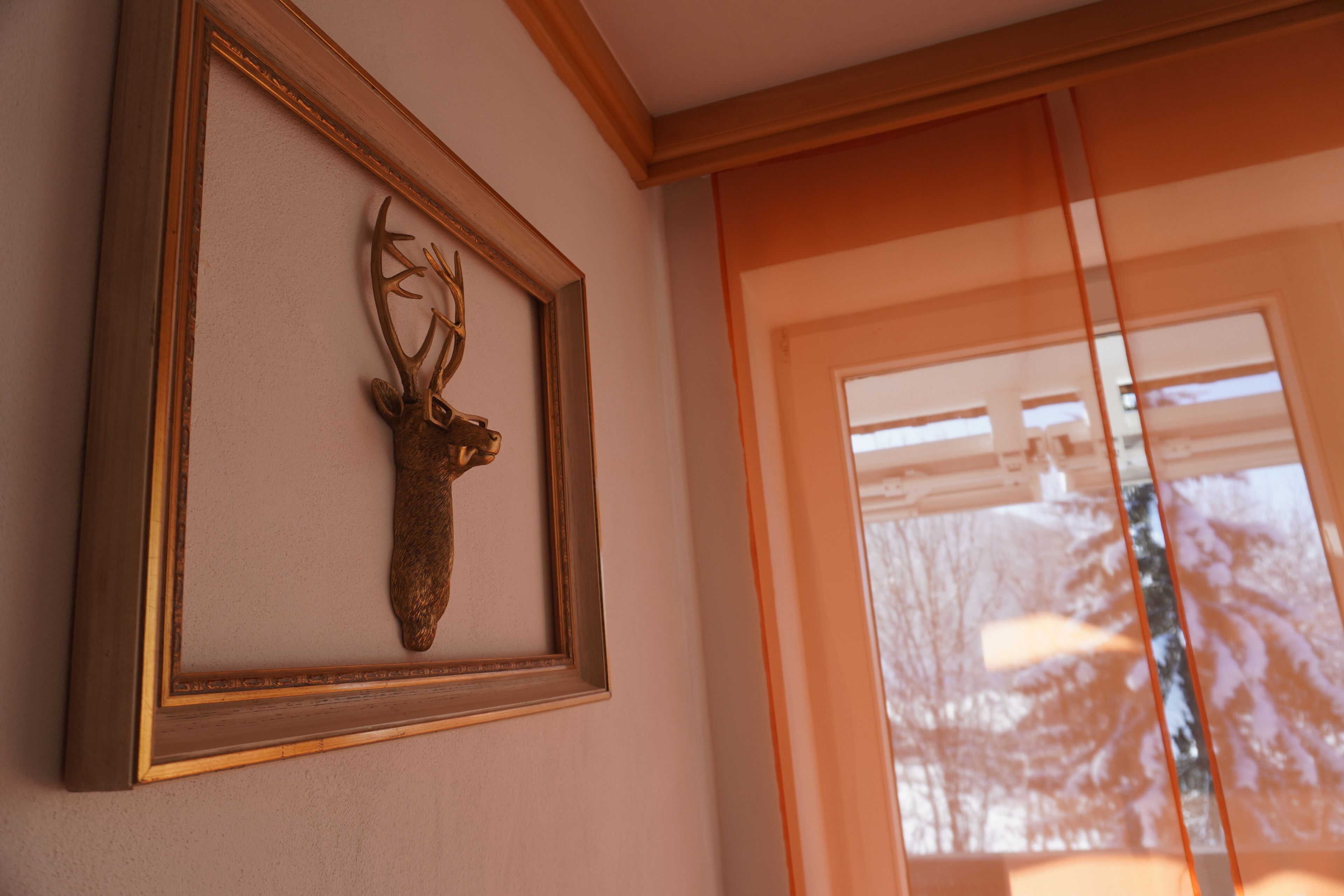Une tête de cerf encadrée accrochée au mur, une fenêtre donnant sur des arbres et une porte avec un cadre en bois.
