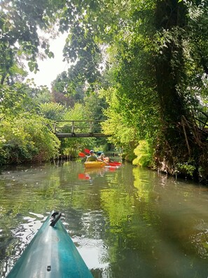 Immagine non classificata, 3 di 20, pulsante