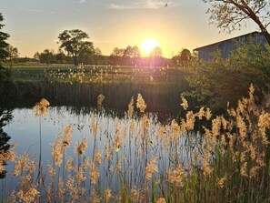Botó d’imatge sense classificar, 2 de 20
