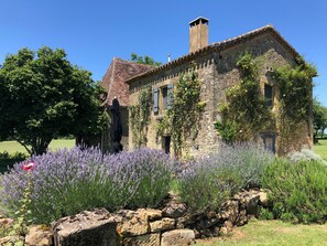 Niet-geclassificeerde afbeelding, 2 van 38, knop