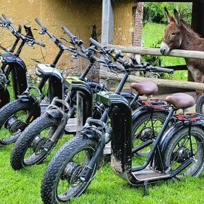 Uklassifisert bilde, 5 av 19, knapp