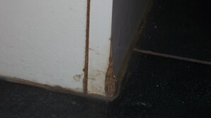 Un coin de pièce avec un mur blanc et un plancher foncé.