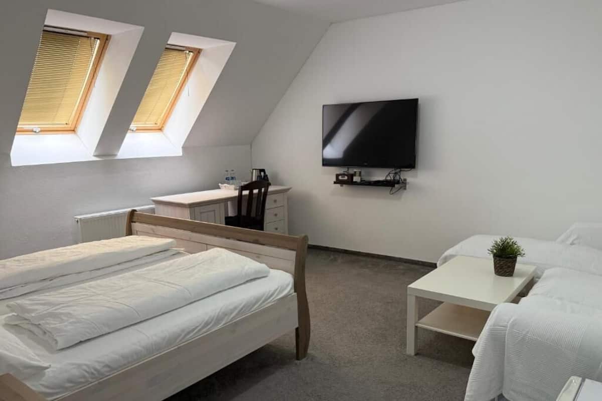 Una habitación con una cama, un escritorio, un televisor y una pequeña planta.
