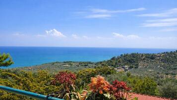 Vue depuis lâhĂ©bergement