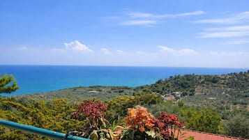 Vista desde la propiedad