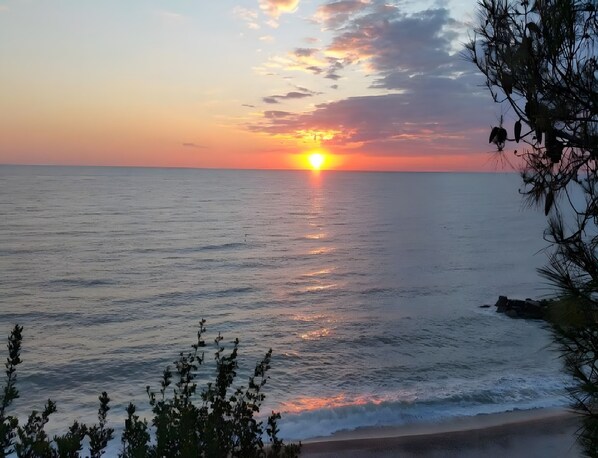 Immagine non classificata, 1 di 23, pulsante