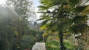 Un sendero de piedra que atraviesa un jardín con diversas plantas y una palmera.