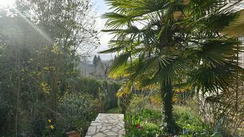 Overnatningsstedets område