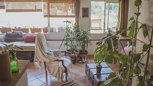 Un salon chaleureux avec un fauteuil, un canapé et une table basse. On y trouve plusieurs plantes en pot et une fenêtre avec des stores.