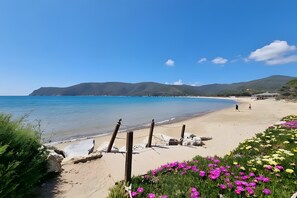 Una spiaggia nelle vicinanze