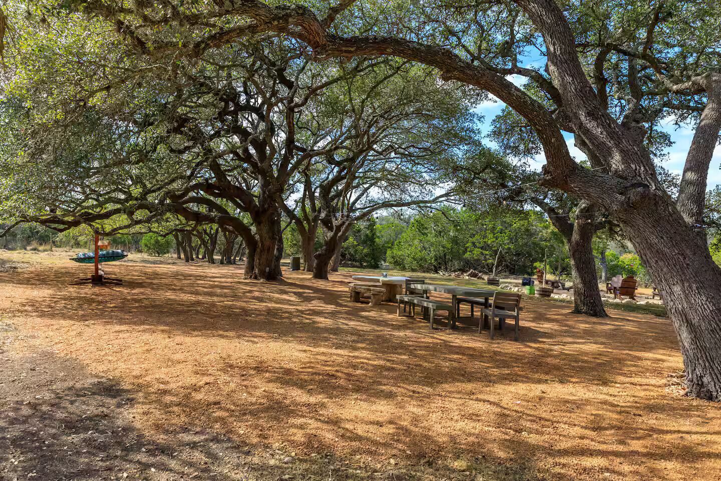 A park with picnic tables and benches under large trees.