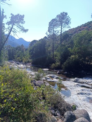 Unclassified image, 3 of 12, button - Vrbo Property (Manso)