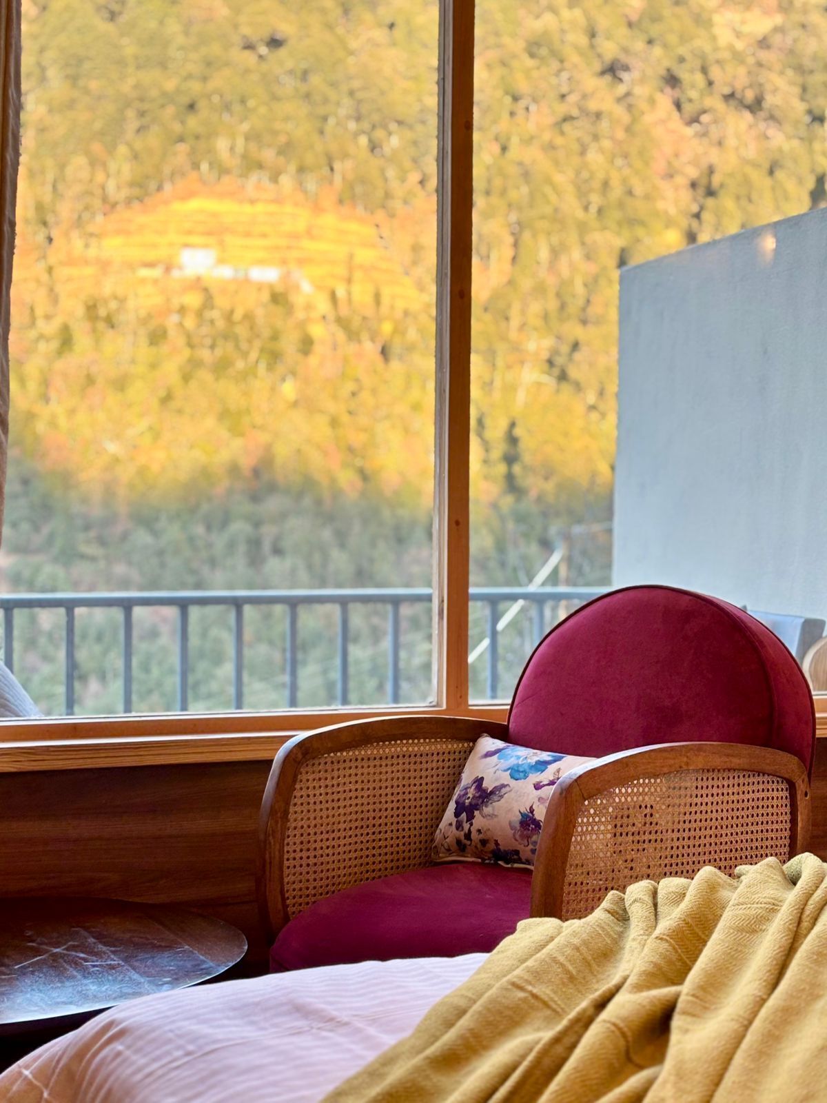 واي فاي مجانًا