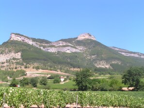 Photo non classée, 5 sur 19, bouton