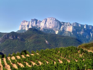 Nicht klassifiziertes Bild, 3 von 18, Schaltfläche