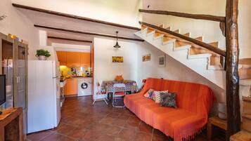 TV, fireplace, DVD player, table tennis