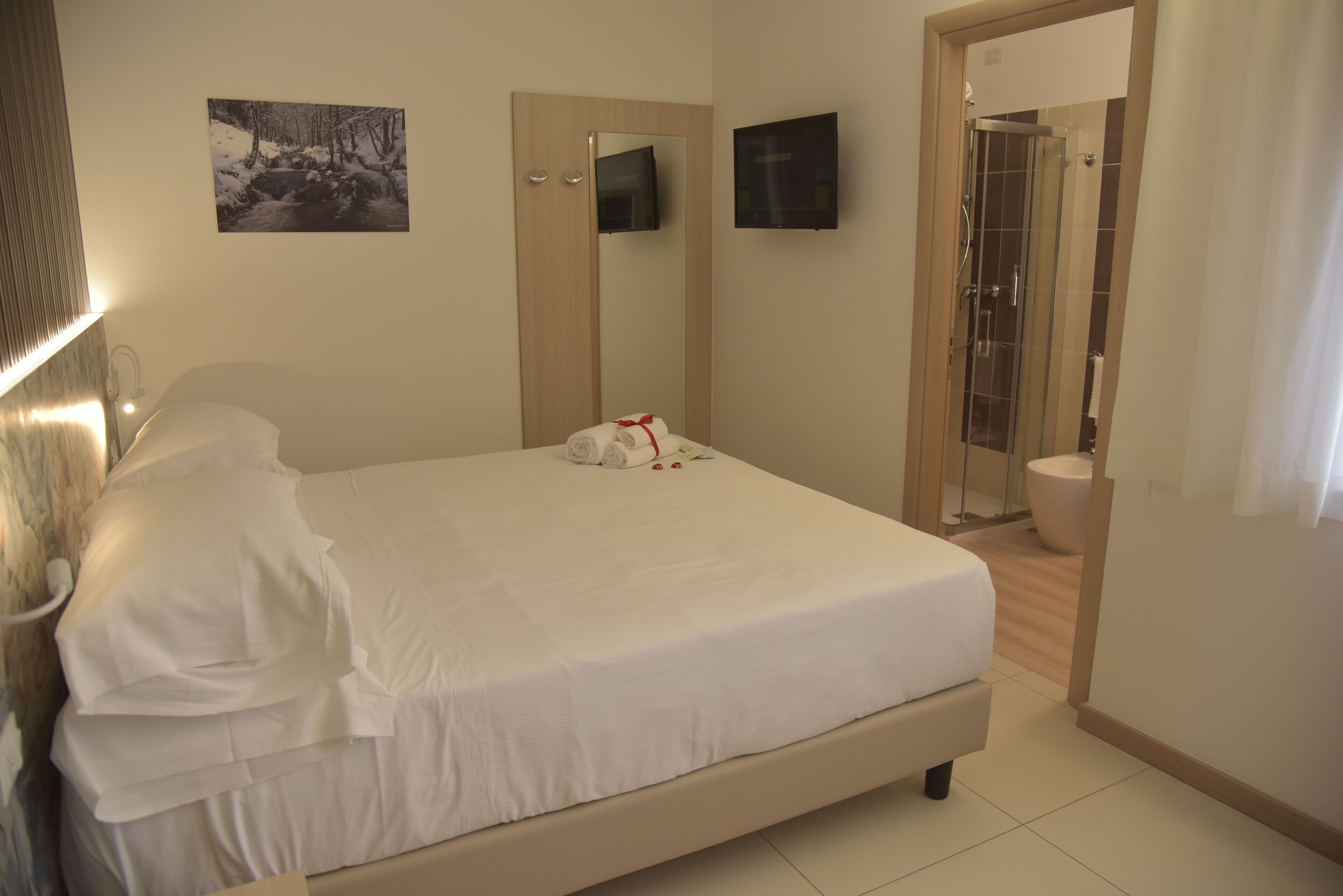 A bedroom with a bed, a mirror, a TV, and a shower area.