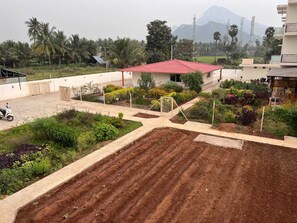 A residential area with a garden, a red-roofed building, and a scooter parked nearby. - Gold Mountain Wellness Resort (Tiruvannamalai)