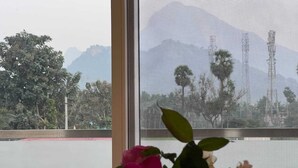 A window with a view of a mountain and trees, a pink and white flower in the foreground, and a mesh screen partially covering the view. - Gold Mountain Wellness Resort (Tiruvannamalai)