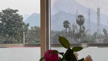 Suite, Mountain View