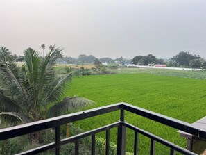 Balcony - Gold Mountain Wellness Resort (Tiruvannamalai)