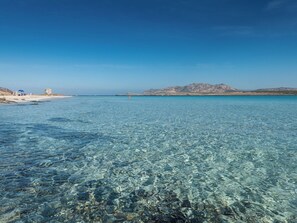 Beach - Accommodation just steps away from Cala Lupo (Stintino)
