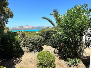 Property grounds - Stunning sea view in a private setting (Stintino)
