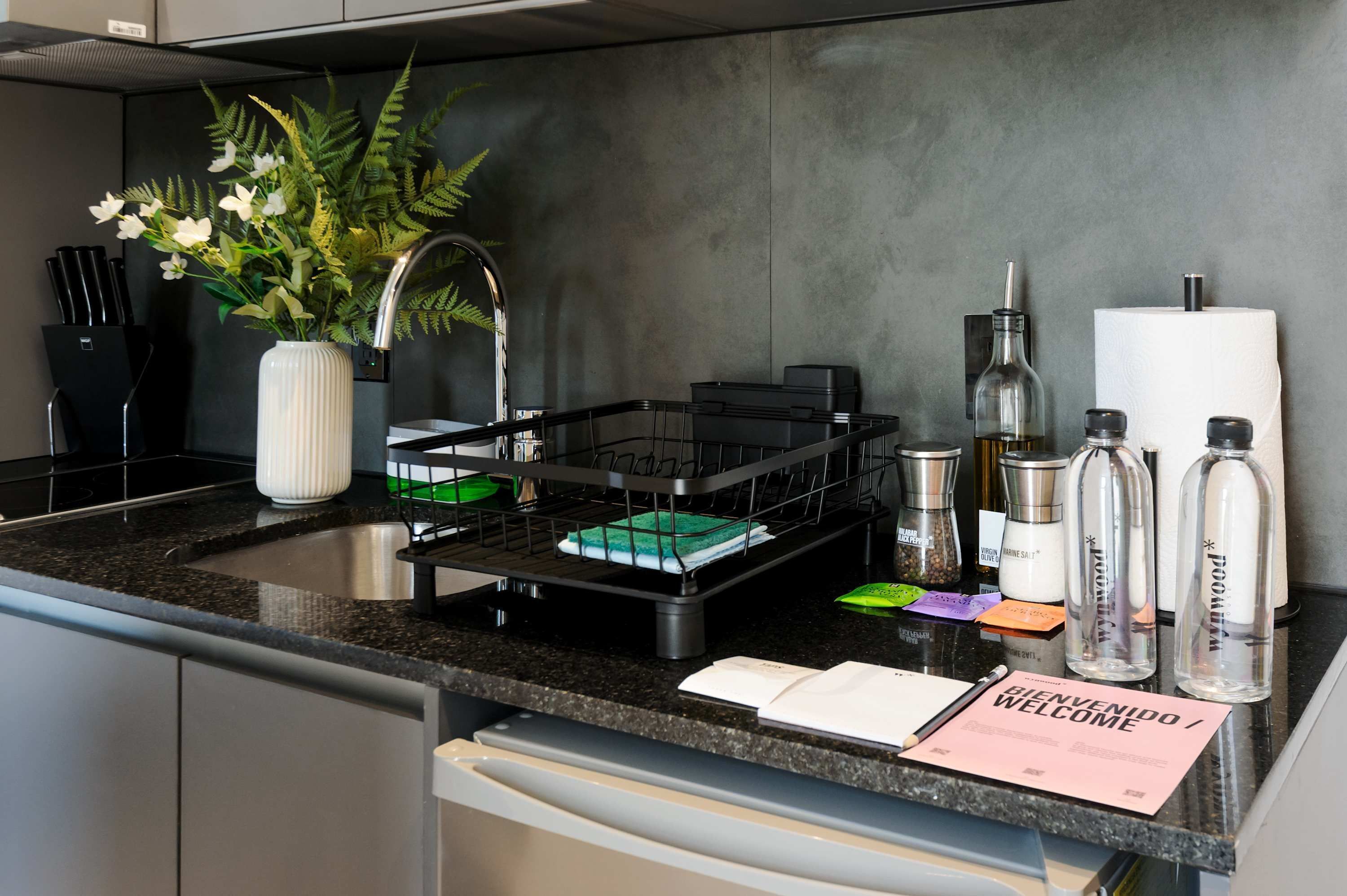 Apartment | 1 bilik tidur 