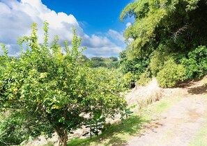 Botón de imagen sin clasificar, 2 de 22