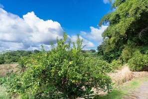 Botón de imagen sin clasificar, 4 de 22
