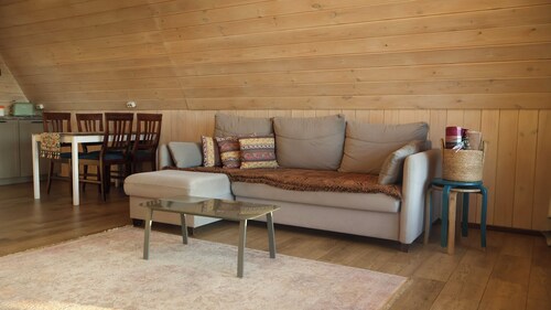 Charming A Frame sauna villa with mountain view in Almaty.